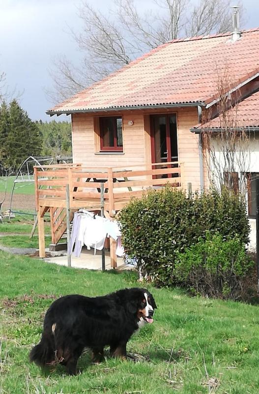 La Ferme De Baffour La Chaise-Dieu
